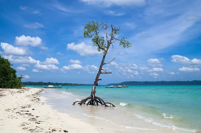 Sand Between Your Toes in 90 Minutes: Getting from Bacolod-Silay Airport to the Region's Top Island Escapes